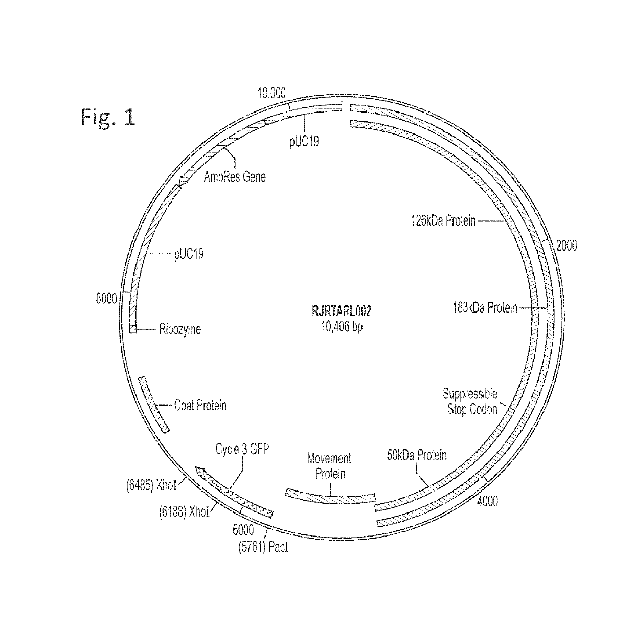 Methods and compositions for viral-based gene editing in plants