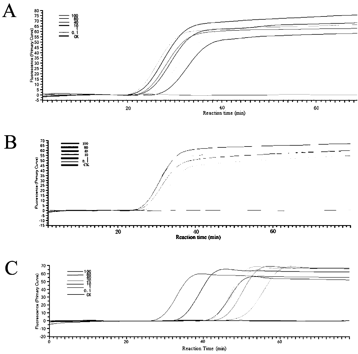 A set of loop-mediated isothermal amplification primers and their kits for the identification of three species of Brachybody nematodes on sugarcane