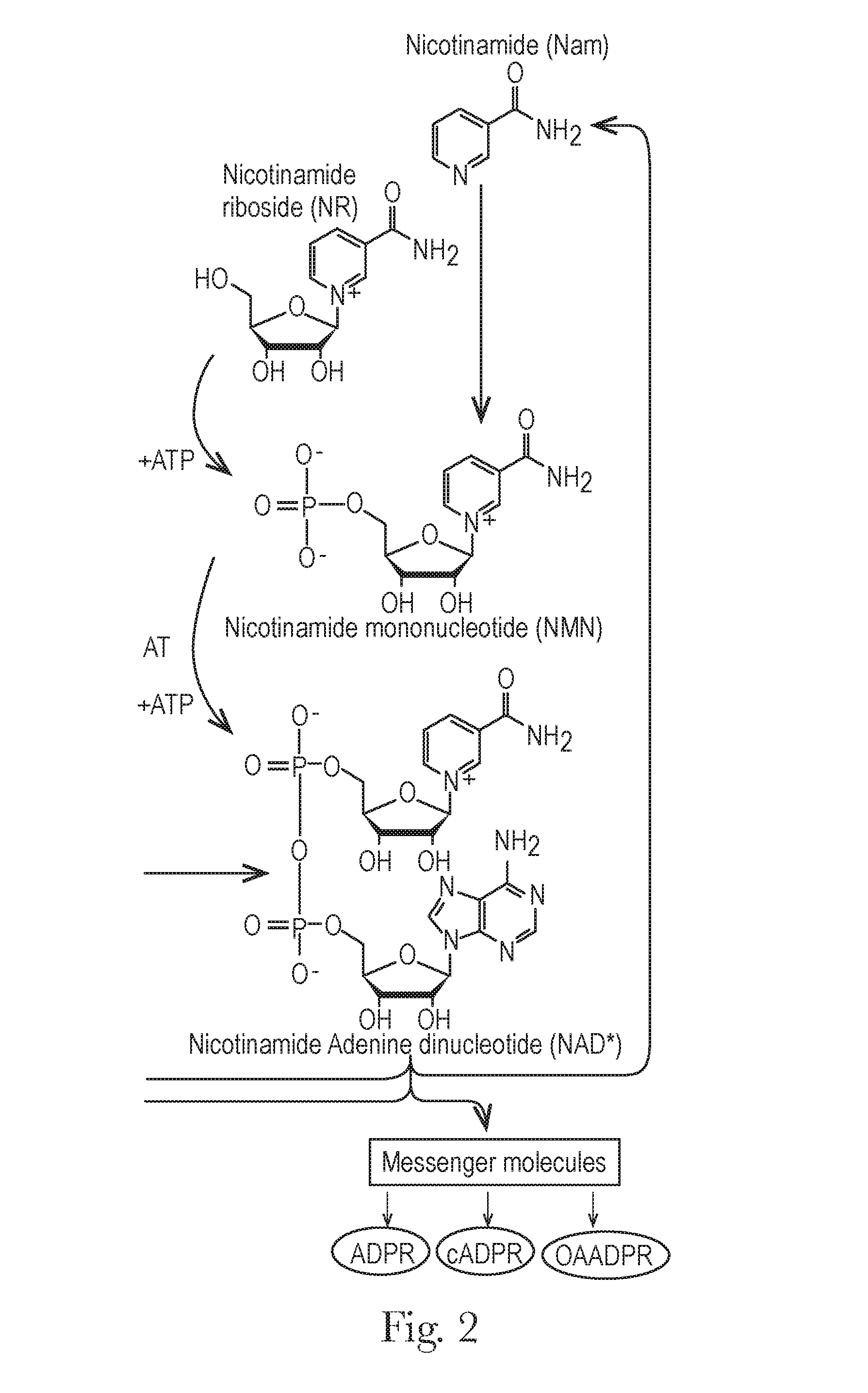 Method of improving skin health and compositions therefor