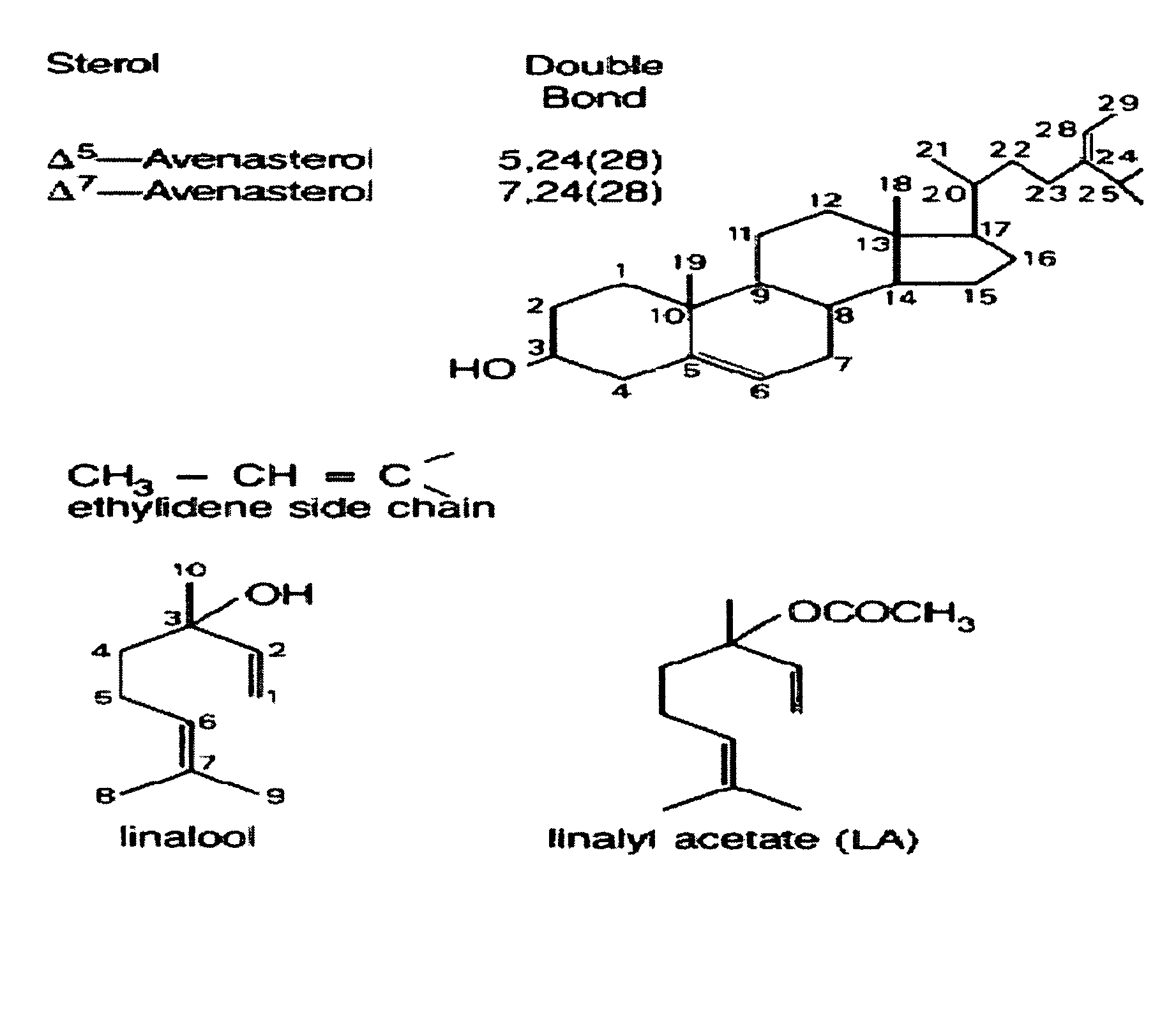 Terpene ester compounds as autoxidation inhibitors for frying oils