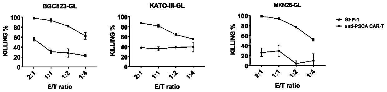 Gastric cancer pharmaceutical composition and application thereof