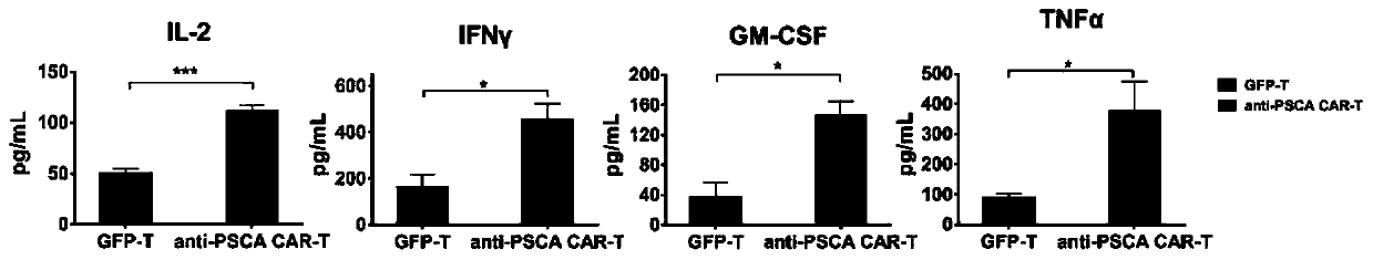 Gastric cancer pharmaceutical composition and application thereof