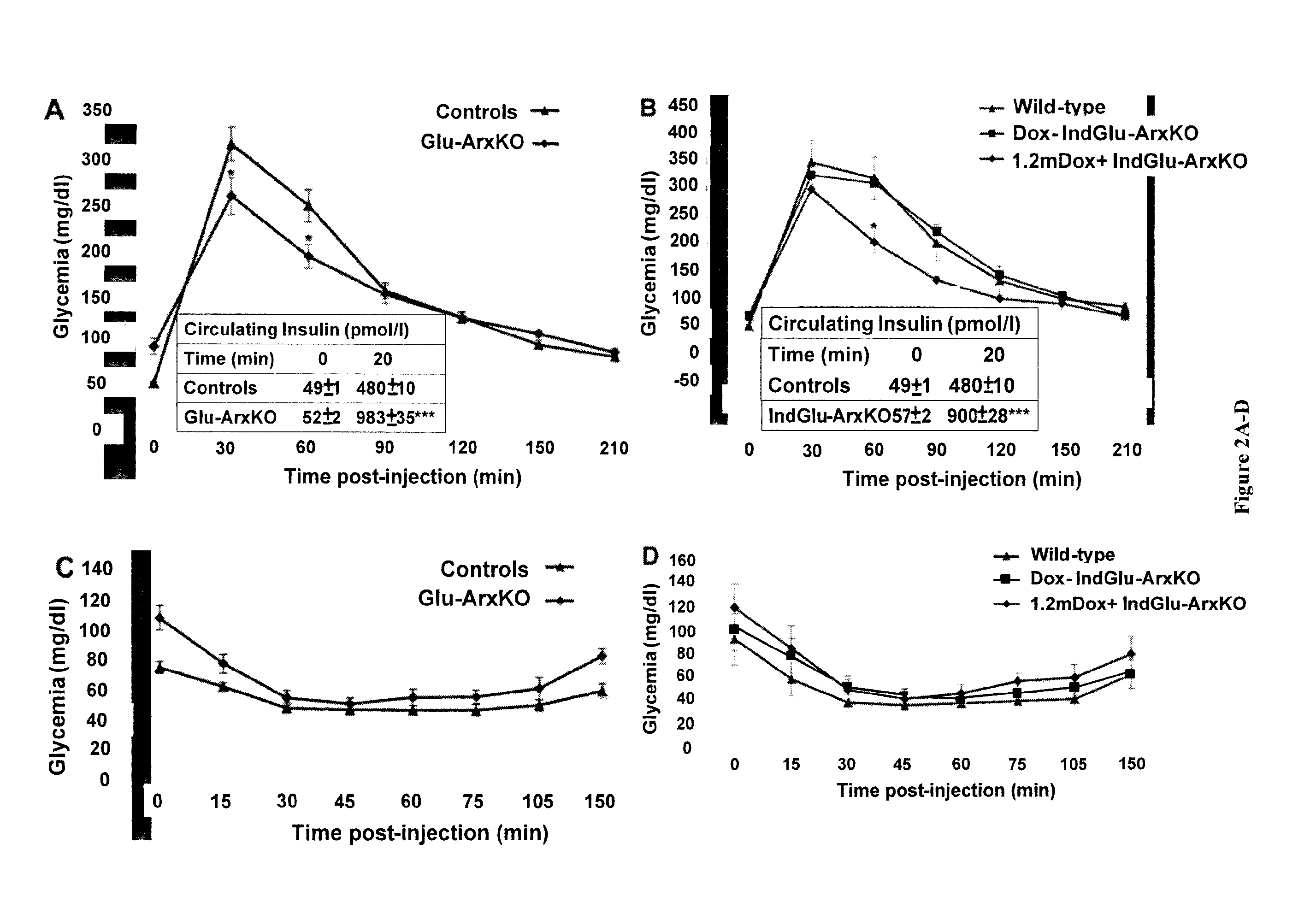 Methods for producing a population of pancreatic beta-cells