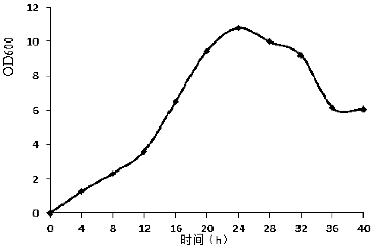 Bacterial enzyme synergistic fermentation method of rapeseed meal