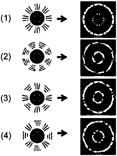 Vector light field regulation and control optical fiber based on nanometer grating array