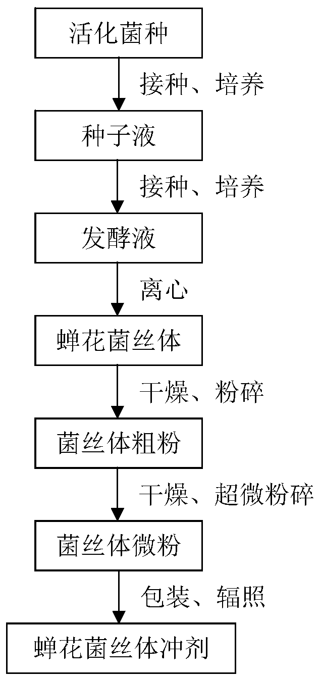 Liquid fermentation culture medium for high-yield antioxidant cordyceps sobolifera mycelium and production method of antioxidant cordyceps sobolifera mycelium granules