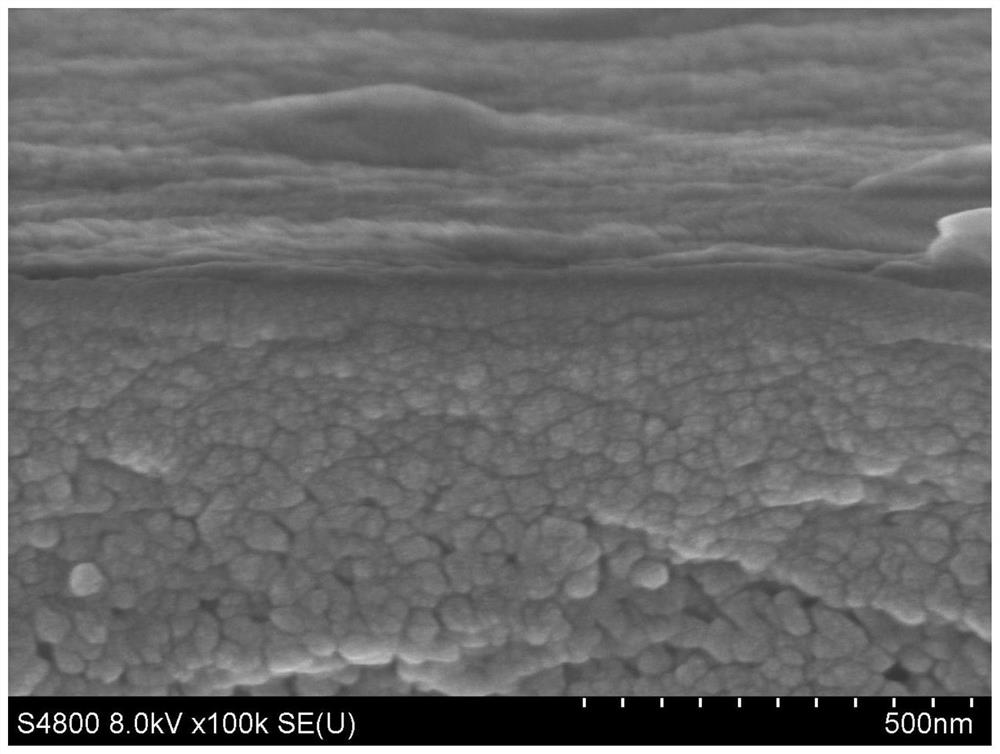 Polyamide composite film prepared by steam-assisted electrostatic spraying, preparation method and application