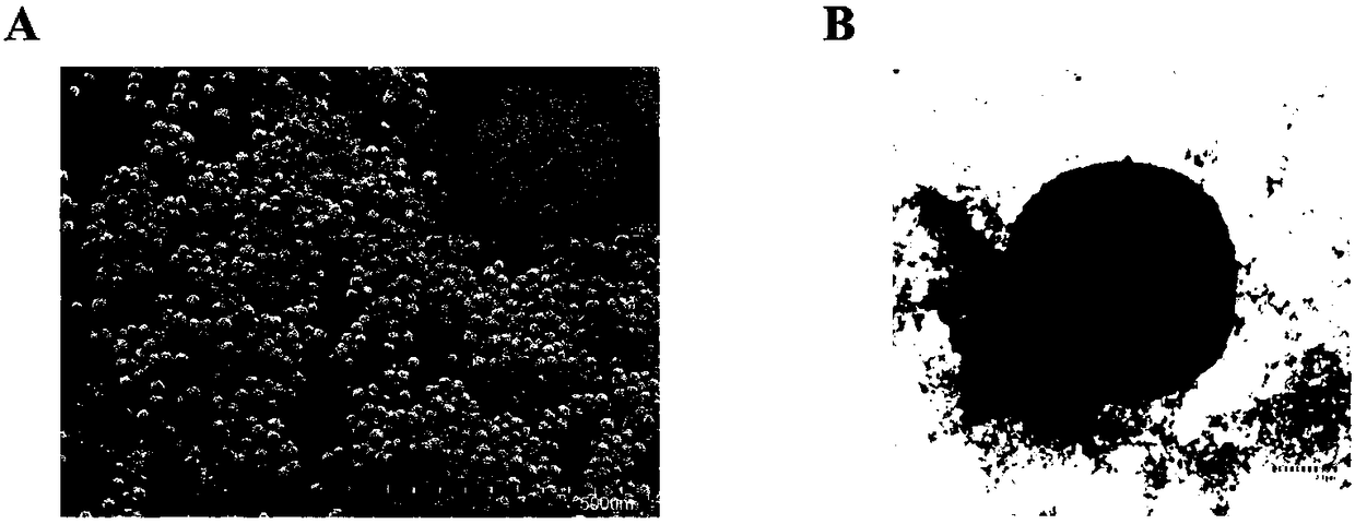 Hemin hybrid nanoflower and preparation method and application thereof