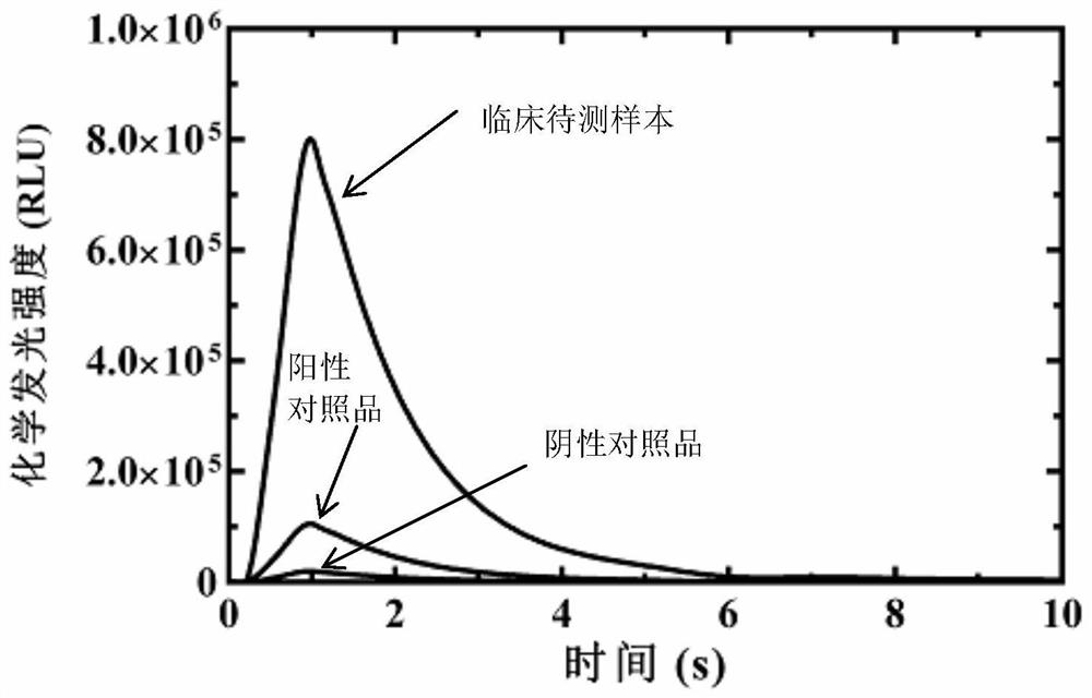 Kit and method for detecting novel coronavirus SARS-CoV-2 antibody