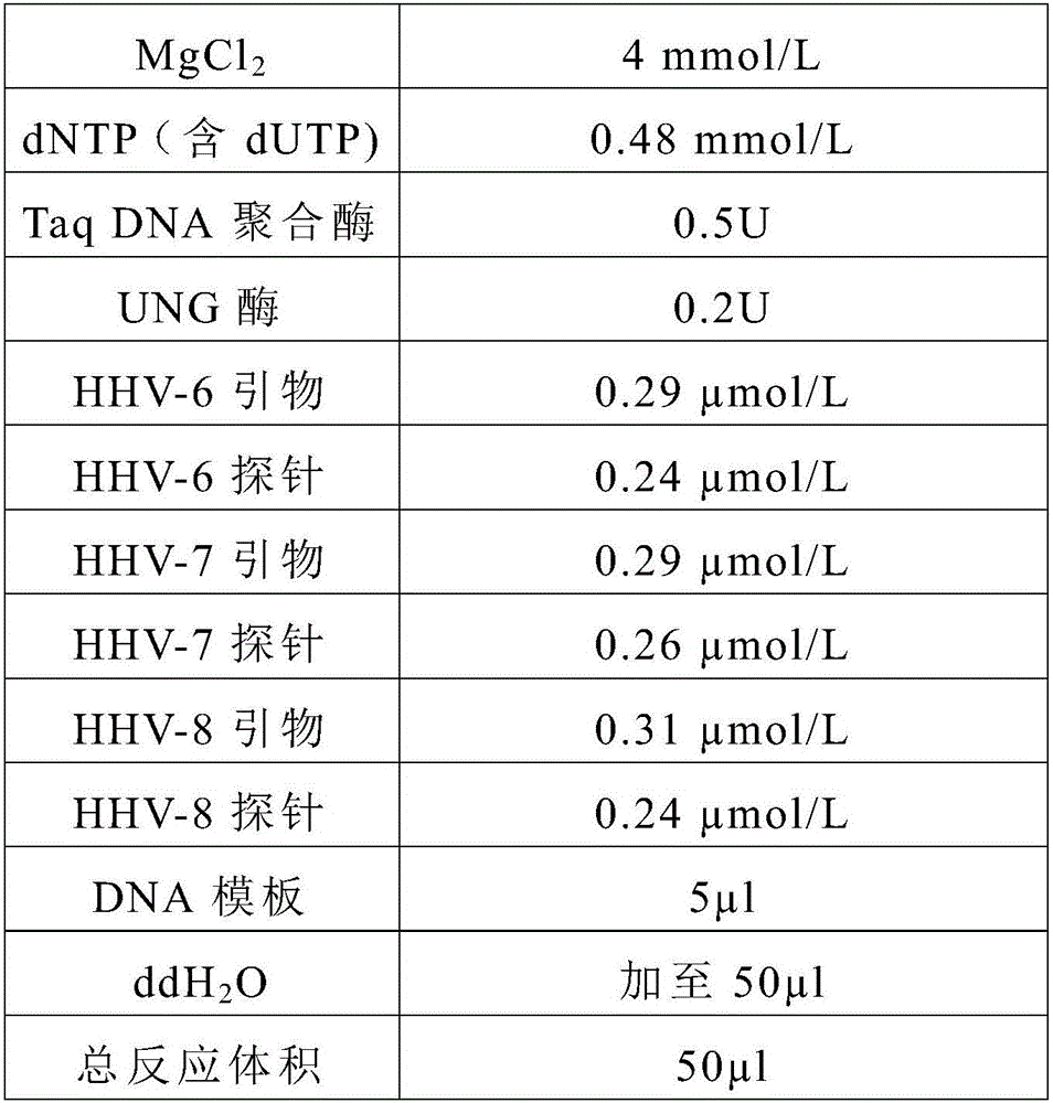 Primer, probe and kit for synchronously detecting human herpes virus types 6, 7 and 8