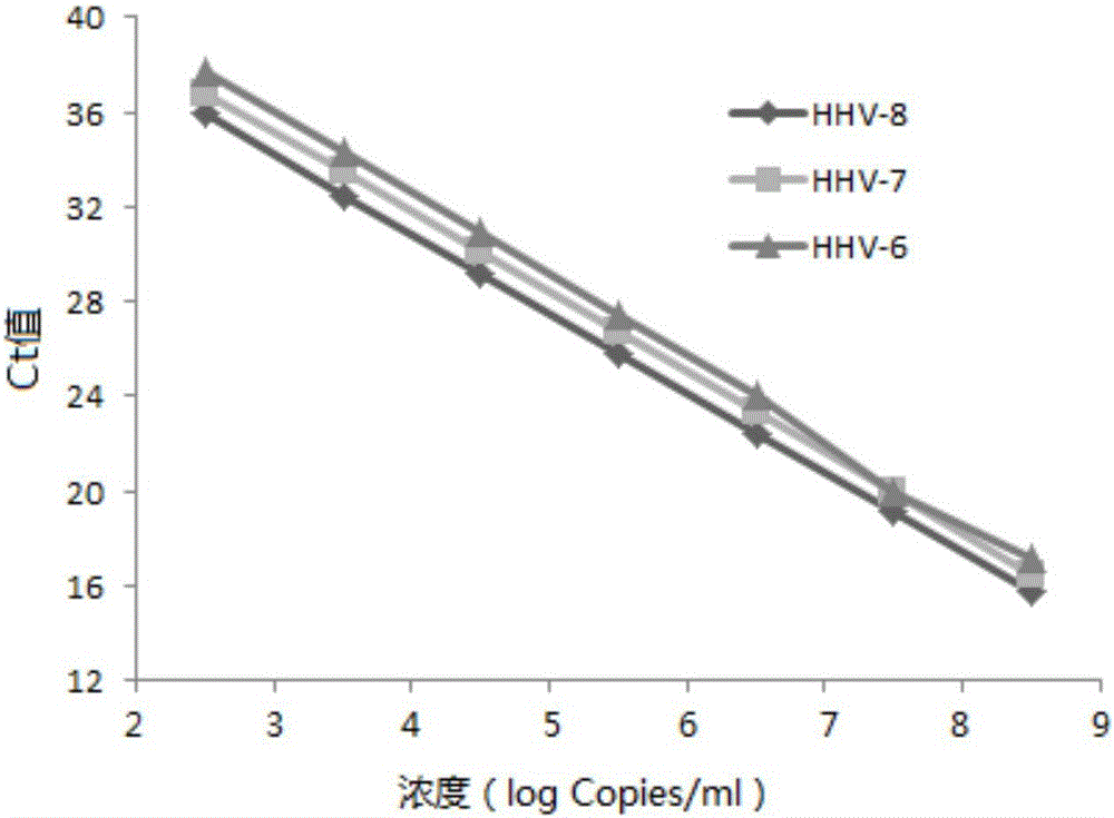 Primer, probe and kit for synchronously detecting human herpes virus types 6, 7 and 8