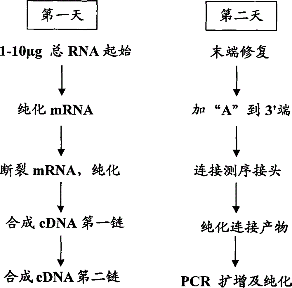 RNA fragmentation reagent and application thereof