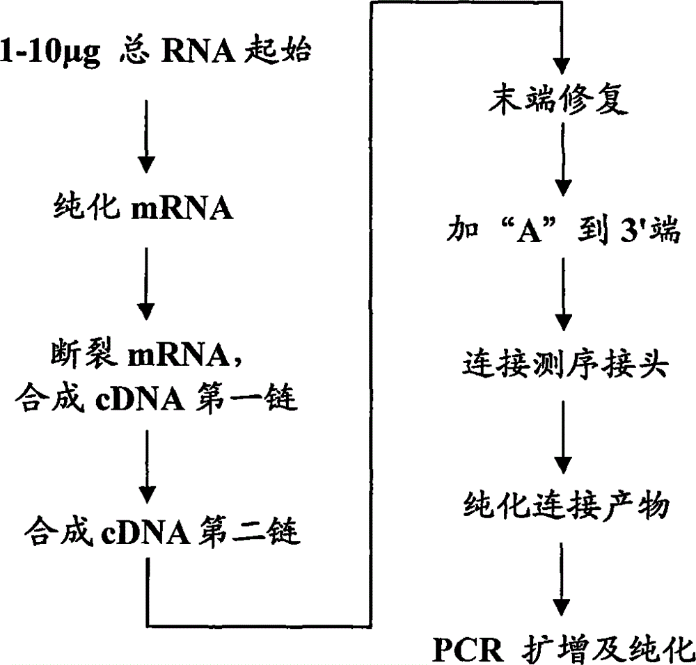 RNA fragmentation reagent and application thereof