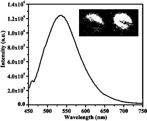 A kind of preparation method and application of carbon quantum dots