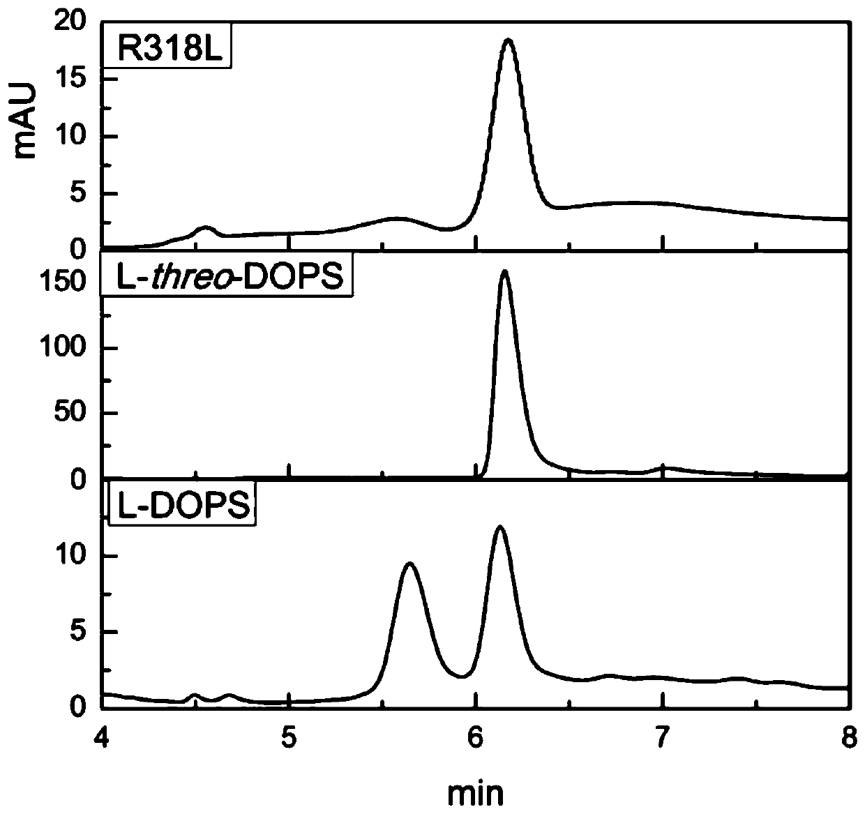 L-threonine aldolase mutant R318L and application thereof