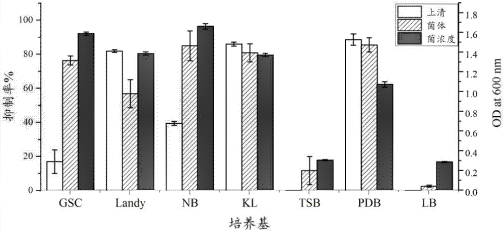 Paenibacillus polymyxa antimicrobial agent and preparation method thereof