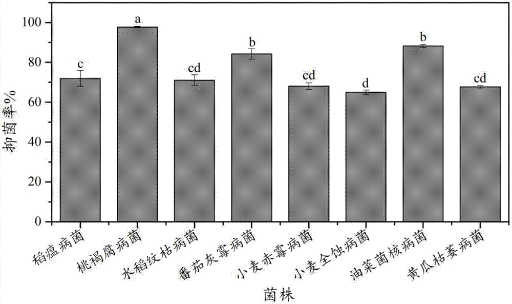 Paenibacillus polymyxa antimicrobial agent and preparation method thereof