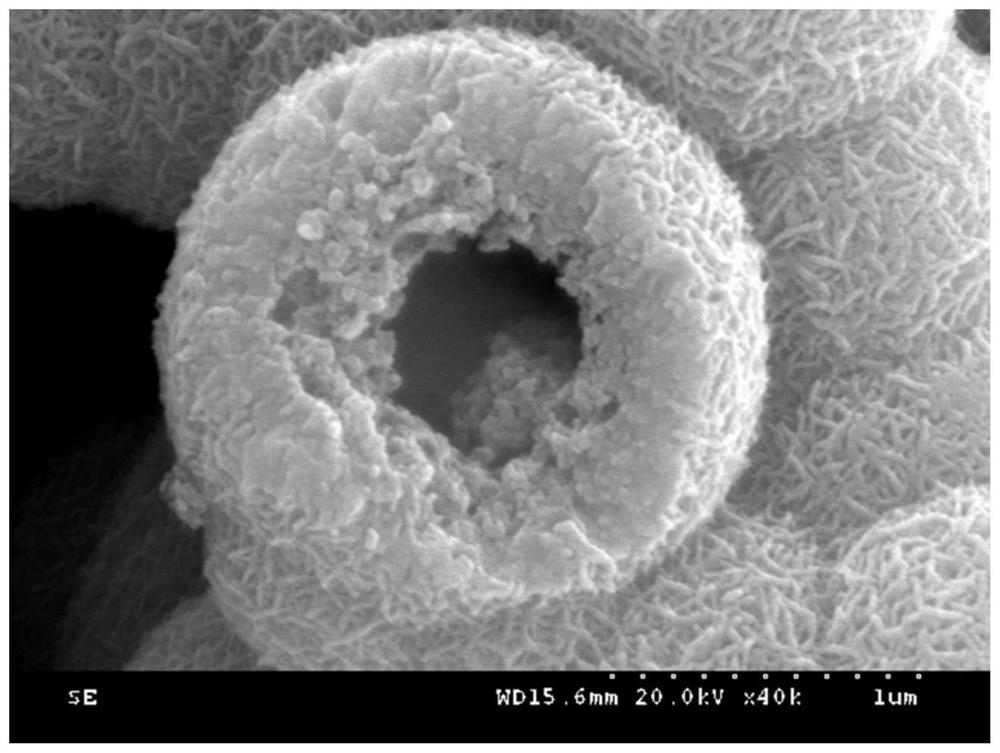 Solvothermal preparation method of NbS2 nanosheet self-assembled hollow microspheres