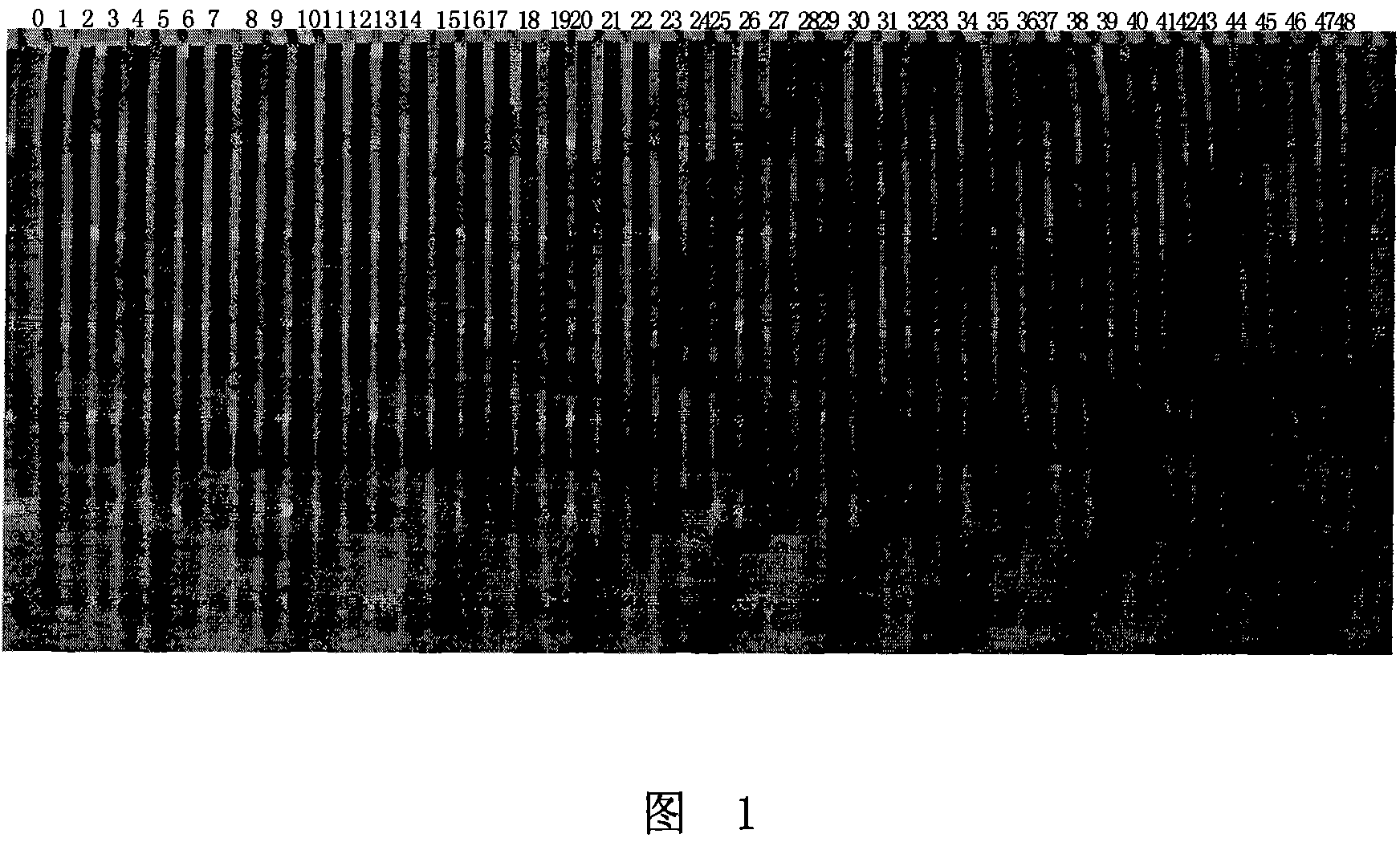 Biological activator for reinforcing nitrogen fixing capacity of nodule bacteria