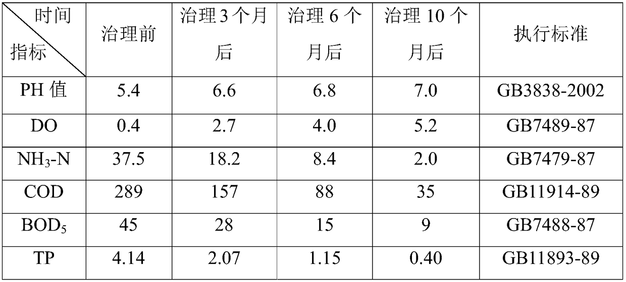 Method for in-situ natural purifying of black odor water body