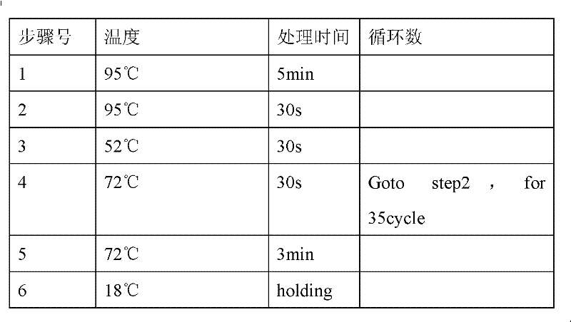 Kit and method for detecting CDA (cytidine deaminase) genetic polymorphism by use of pyrosequencing technique