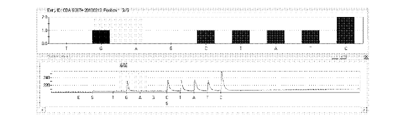 Kit and method for detecting CDA (cytidine deaminase) genetic polymorphism by use of pyrosequencing technique