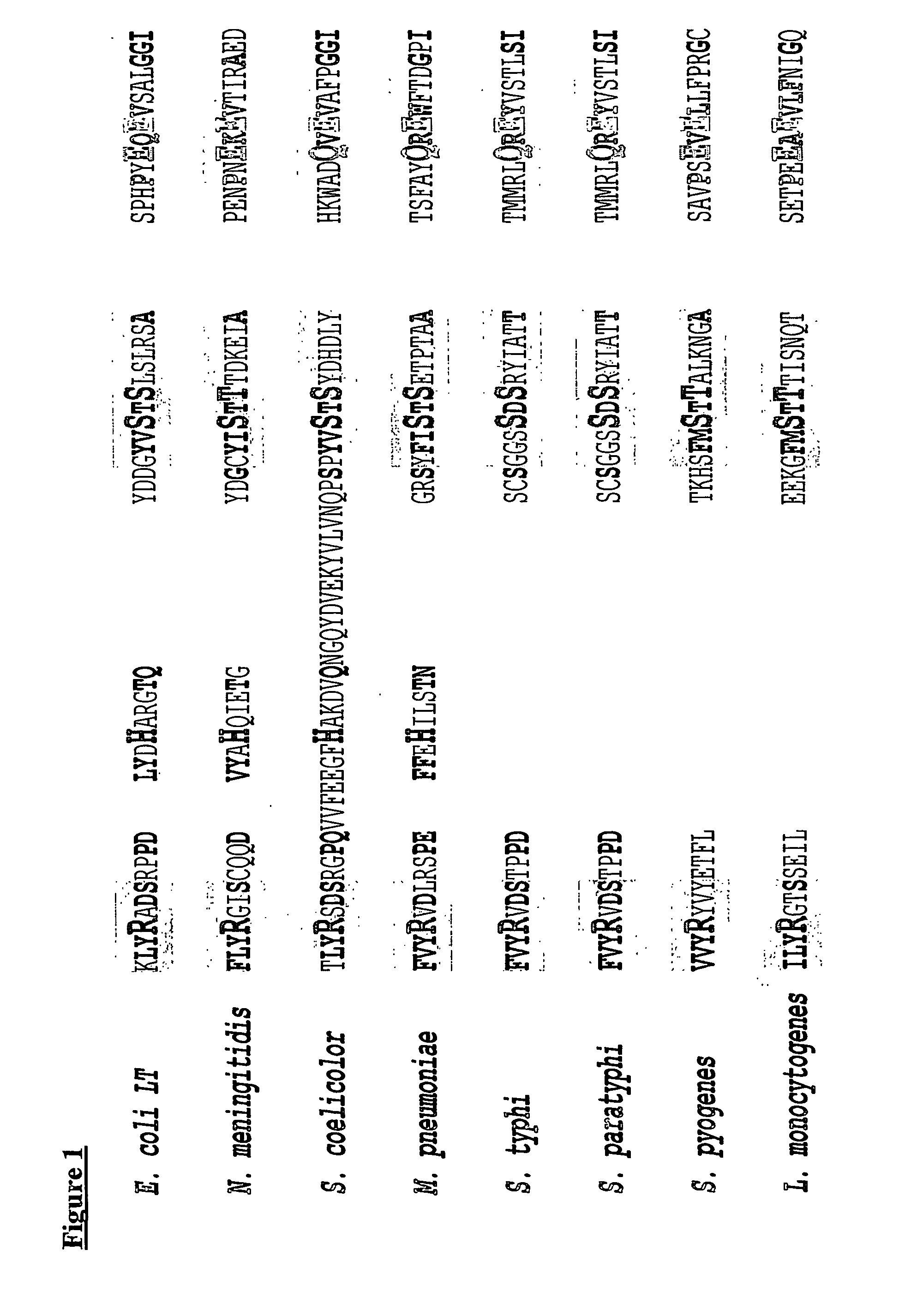 Adp-ribosylating toxin from listeria monocytogenes