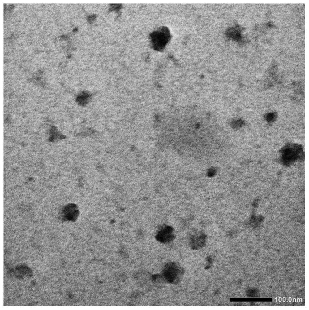 TA-siRNA nanogel as well as preparation method and application thereof