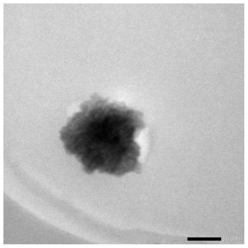 TA-siRNA nanogel as well as preparation method and application thereof