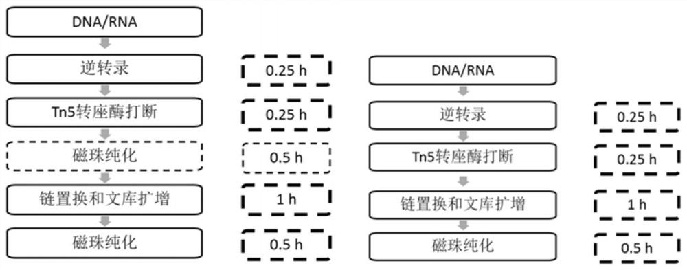 A method and kit for simultaneously constructing sequencing libraries for dna and rna