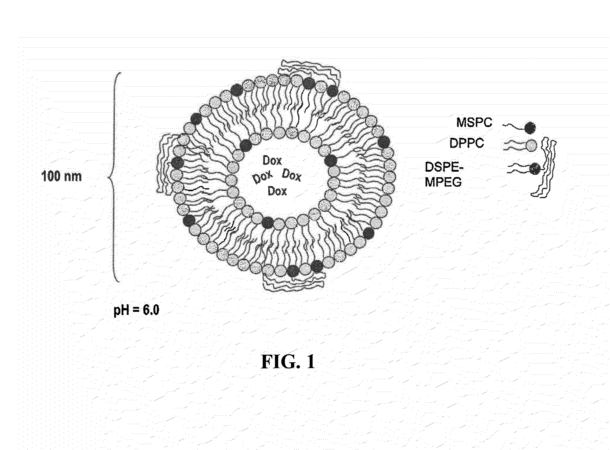 Thermosensitive Nanoparticle Formulations and Method of Making The Same