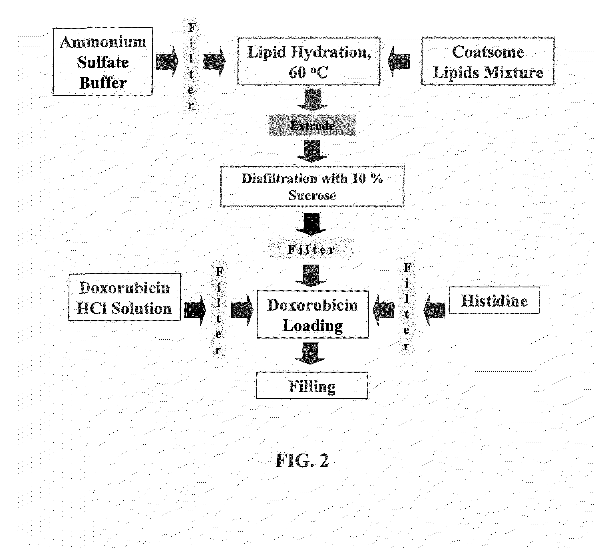 Thermosensitive Nanoparticle Formulations and Method of Making The Same