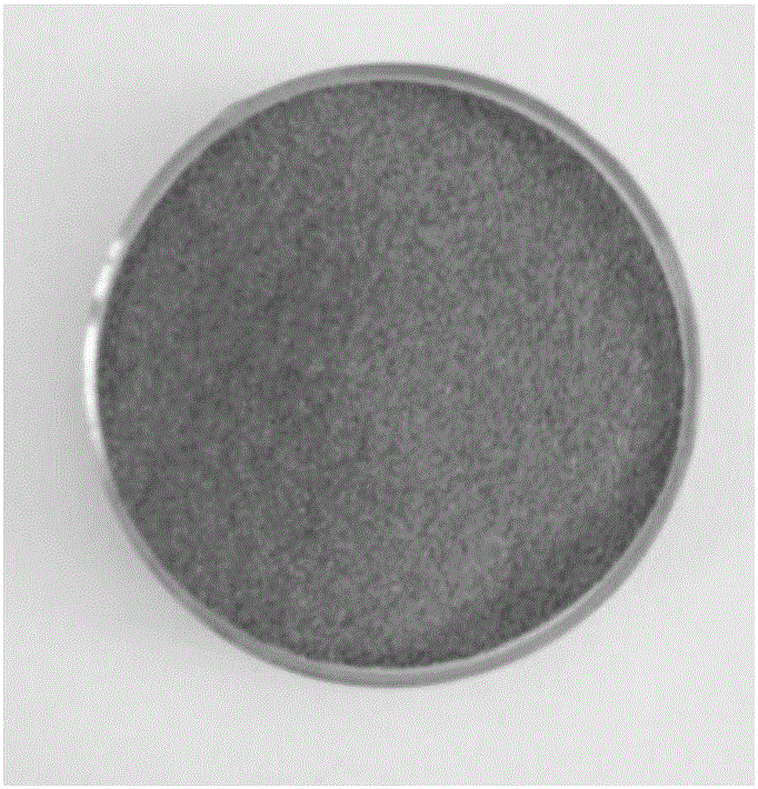 Hexavalent chromium adsorbent and preparation method and application thereof