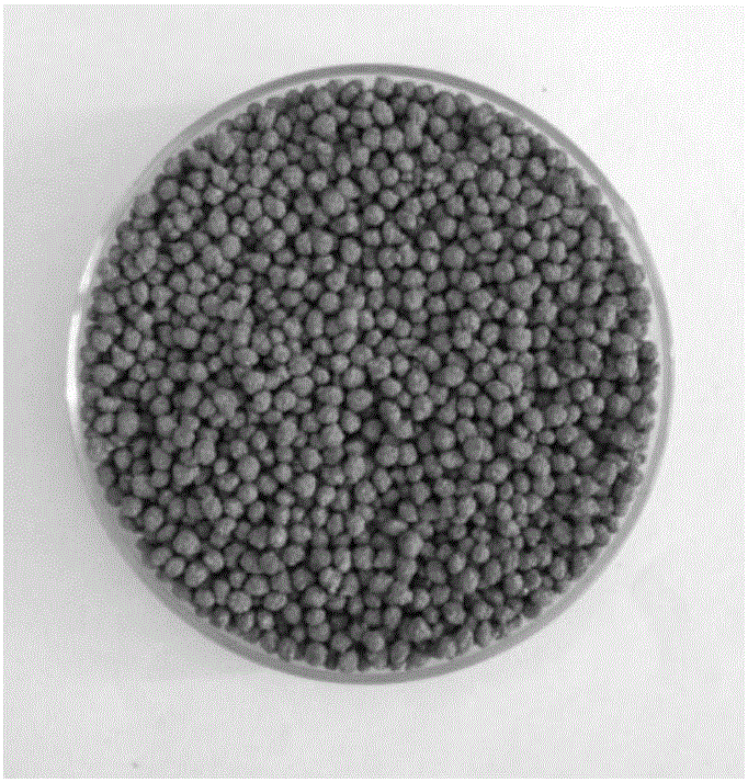 Hexavalent chromium adsorbent and preparation method and application thereof