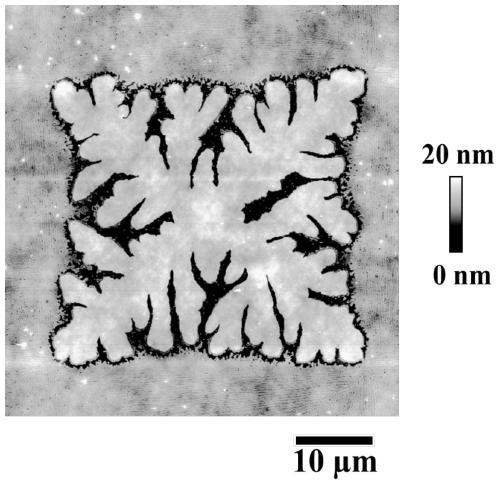 Method for constructing micro-nano patterns in high-molecule film lamellas through selective dissolution