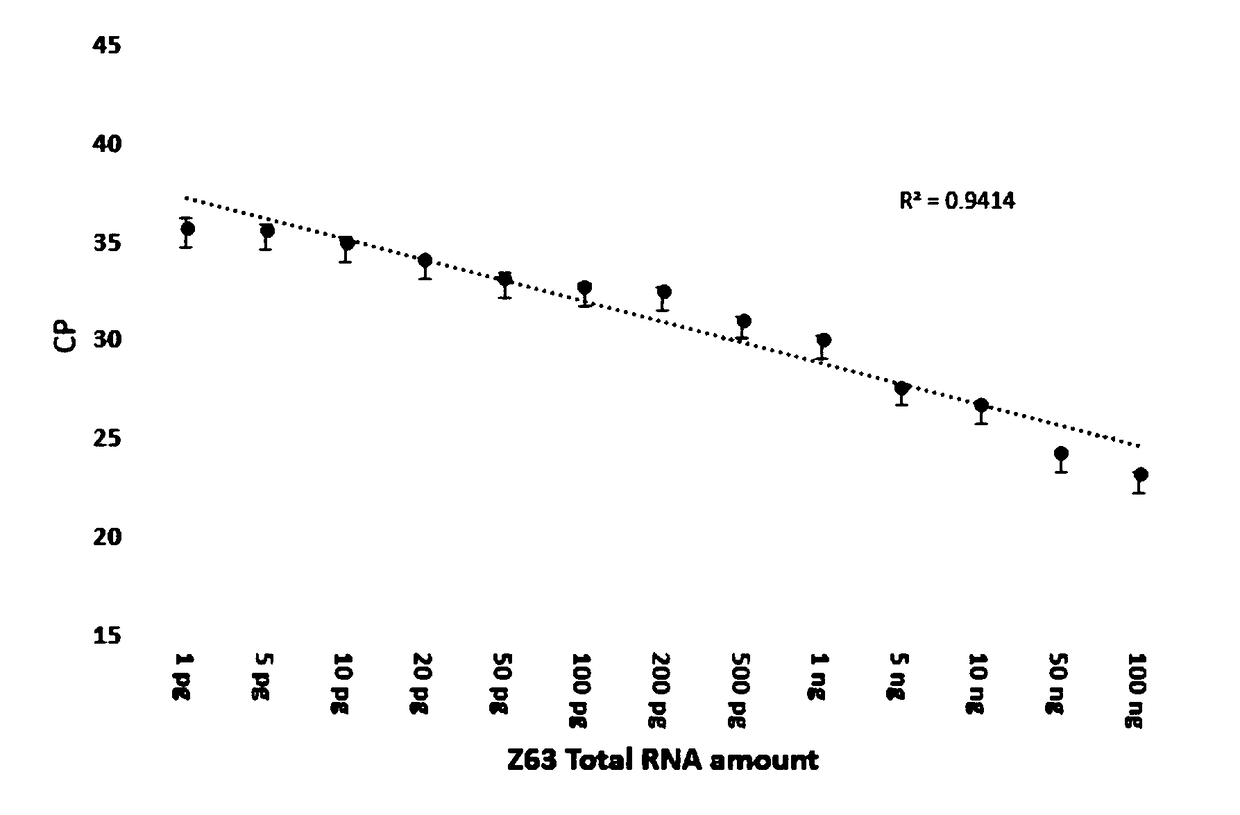 Primer pairs, probe, kit and one-step detecting method for detecting tumor fusion gene EWS-FLI1