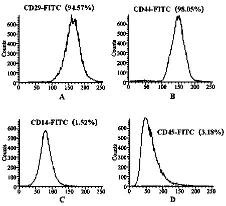 In-vitro efficient amplification agent for adipose tissue-derived stromal cells and amplification method