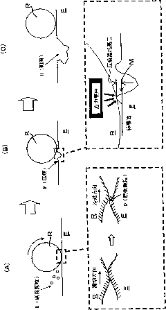 Eccentric oscillating type speed reducer and method for manufacturing eccentric shaft thereof