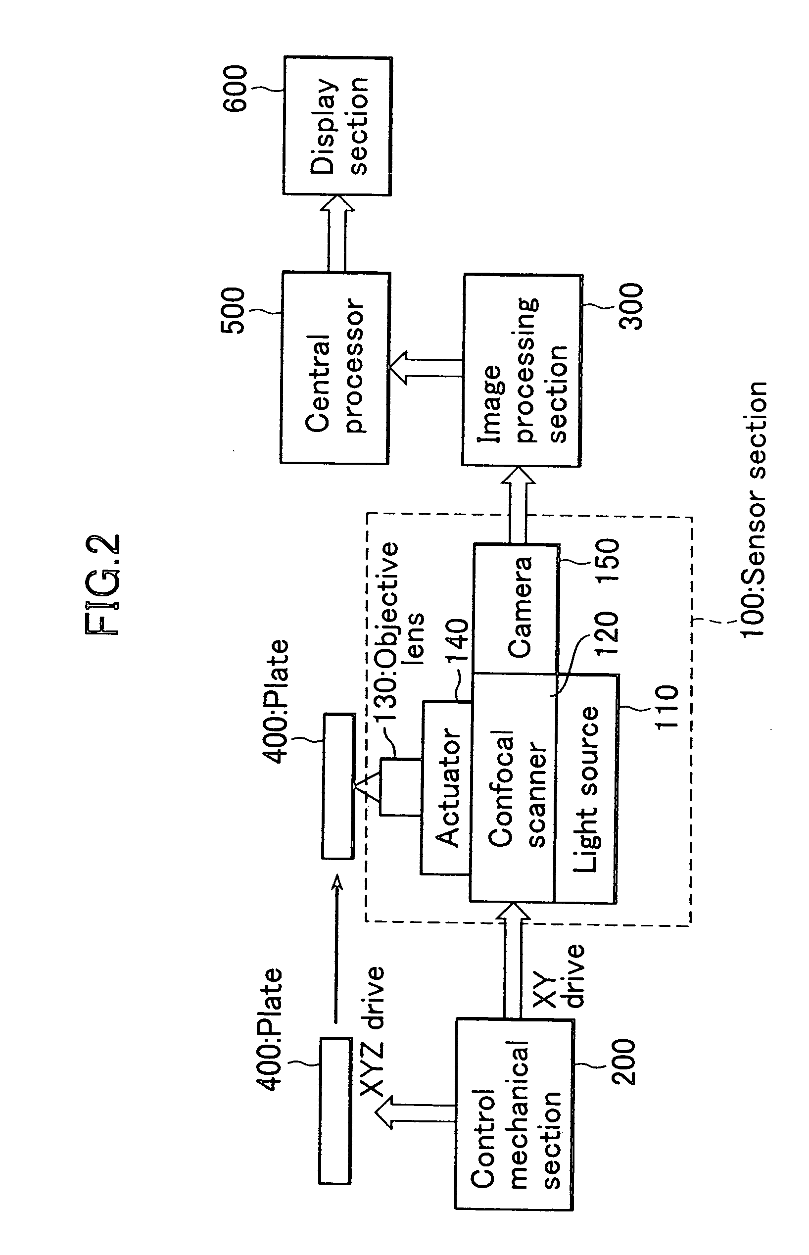 Screening method and device, and new drug screening method and device