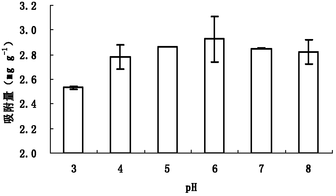 Biological black carbon treating agent for absorbing and curing cadmium and lead in water body polluted by heavy metals and preparation method thereof