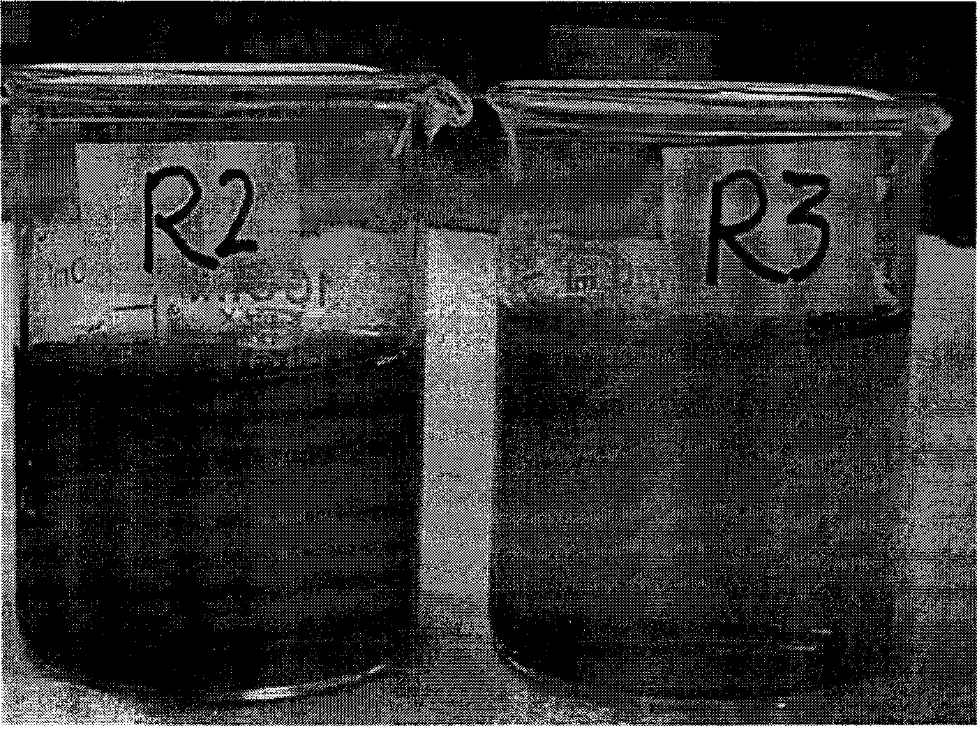 Biochemical ceramic as well as preparation method and application thereof