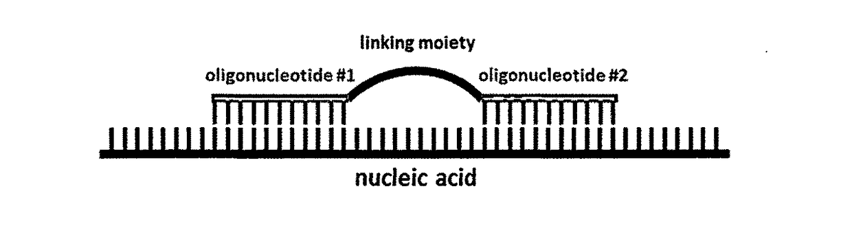 A method for altering the functional state of mRNA allowing its selective and specific recognition