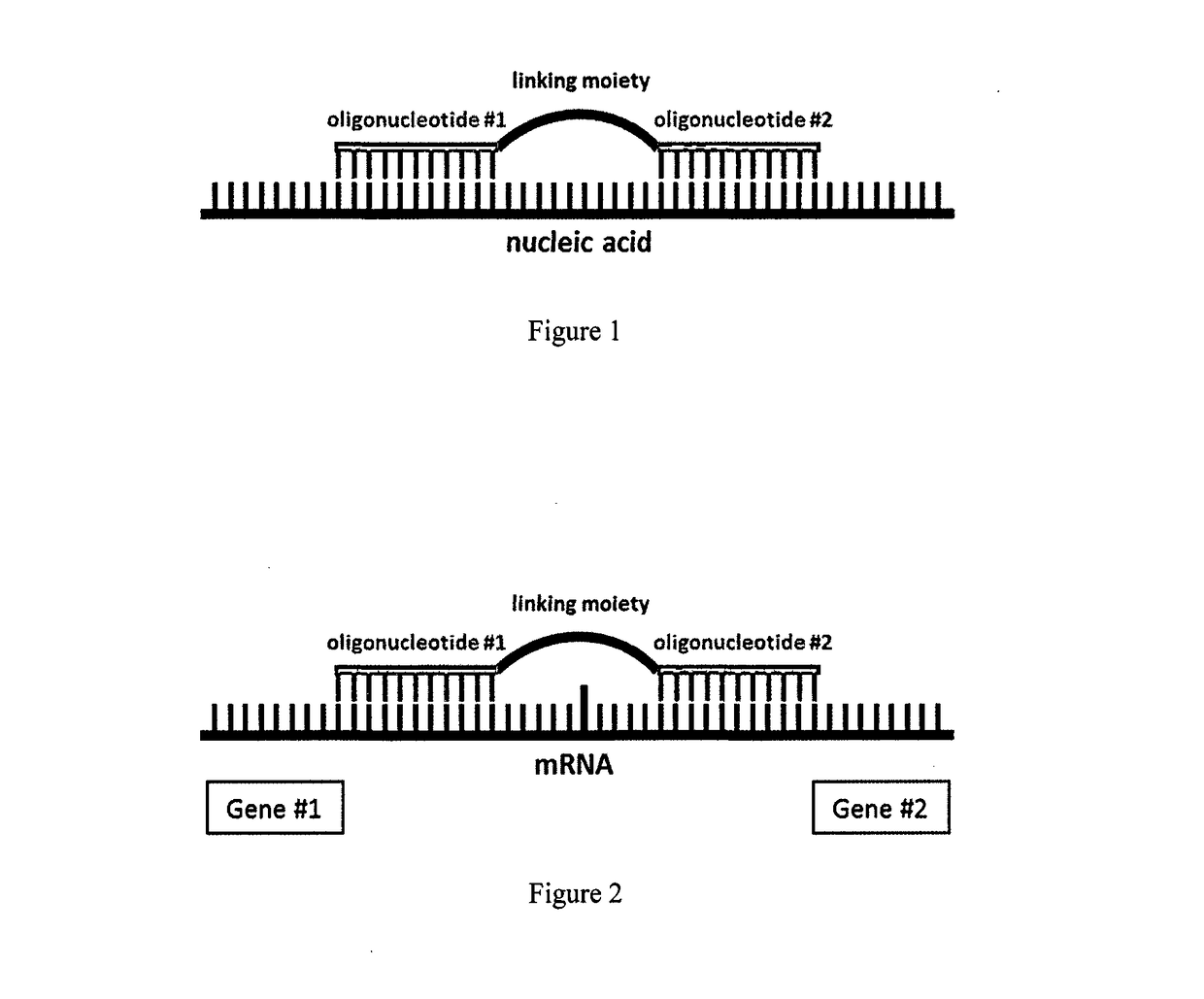 A method for altering the functional state of mRNA allowing its selective and specific recognition