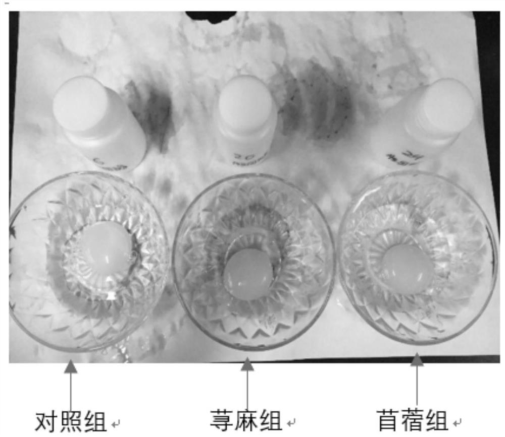 Method for raising functional eggs with low cholesterol, high calcium and high vitamin A