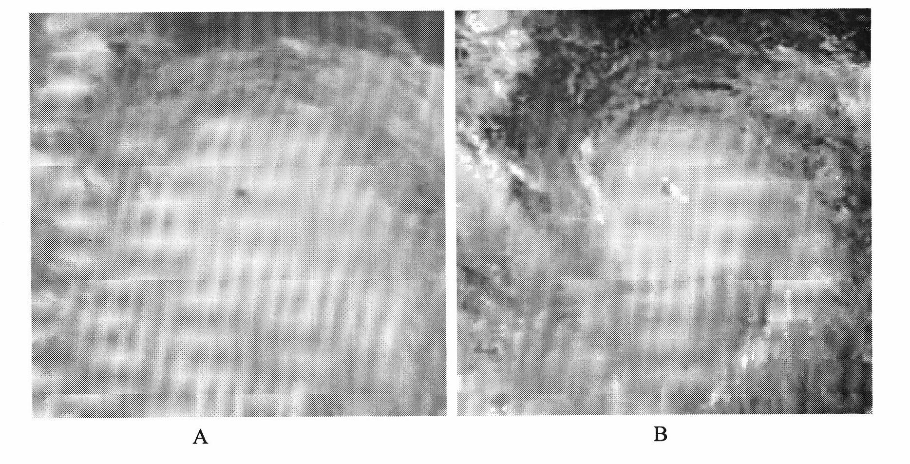 Method for fusing typhoon cloud pictures based on NSCT (Nonsubsampled Controurlet Transformation) and particle swarm optimization algorithm