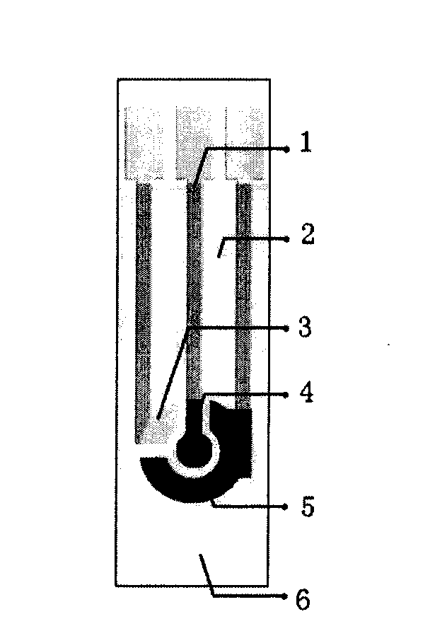 Application of screen printing electrode in the determination of 5-hydroxytryptamine