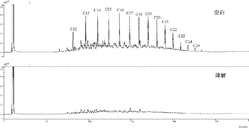 Pseudomonas aeruginosa and application thereof