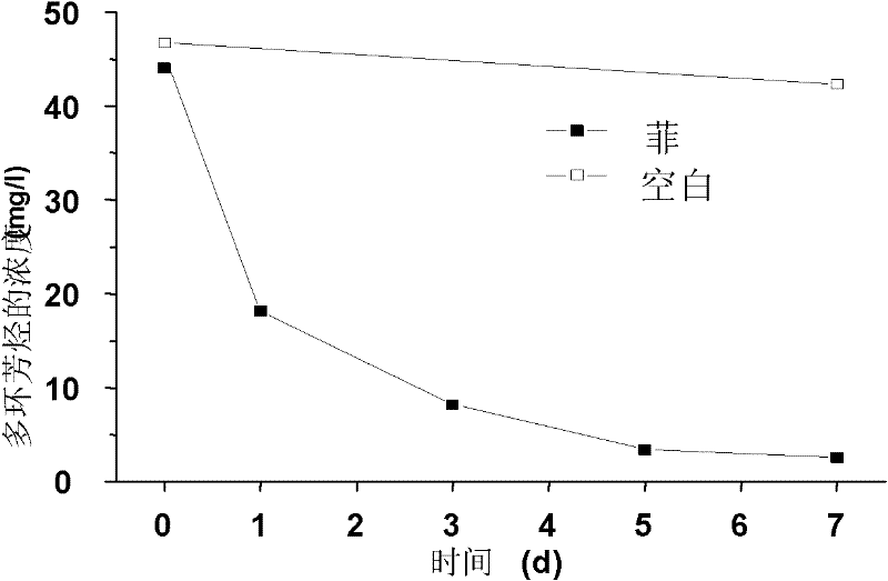 Pseudomonas aeruginosa and application thereof