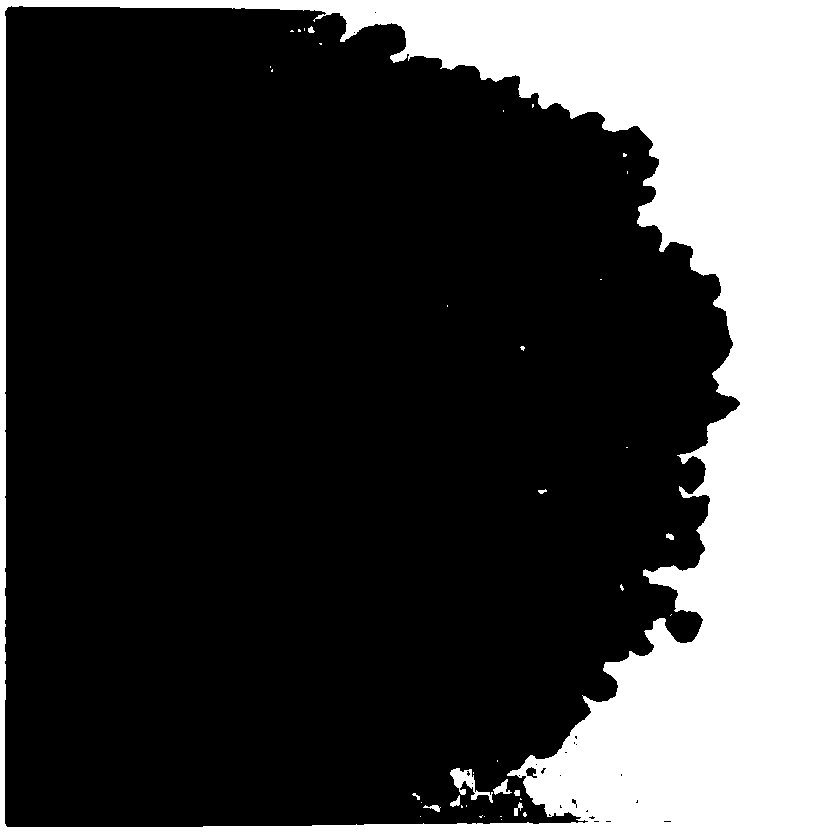 Method for adsorbing and removing ammonia and nitrogen in wastewater by zeolite and adsorption denitrification device