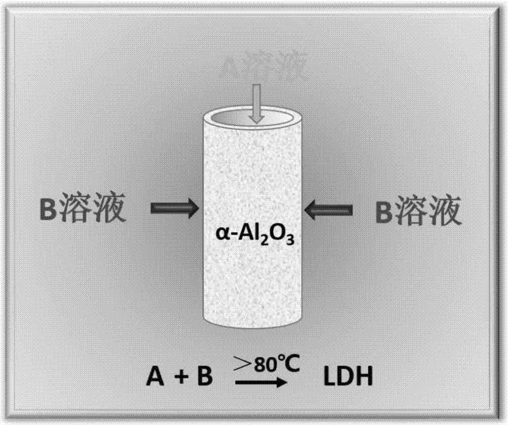 Method for preparing hydrotalcite composite film by back diffusion technology